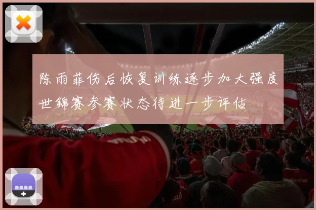 陈雨菲伤后恢复训练逐步加大强度世锦赛参赛状态待进一步评估